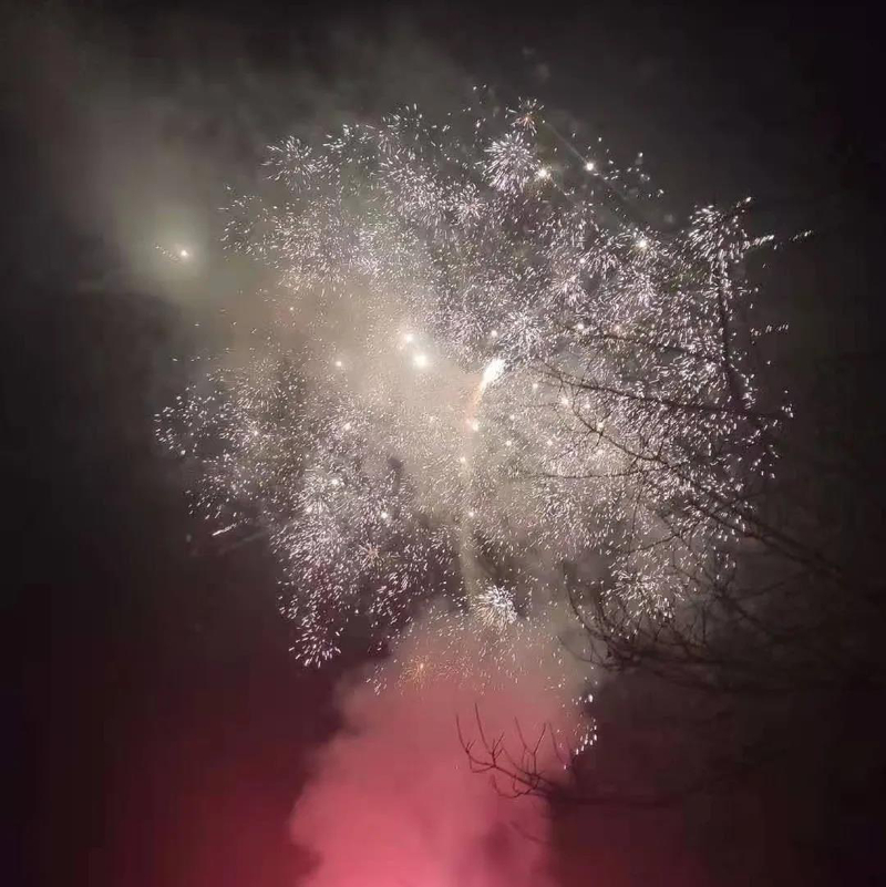 1614163400573008286.jpg 17.jpg
