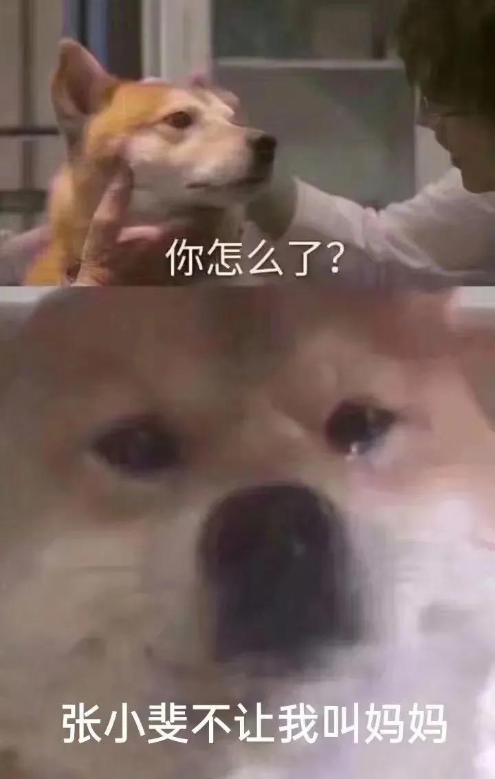 1615090011330001263.jpg 微信图片_20210307120331.jpg