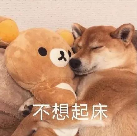 1617685118183092450.jpg 微信图片_20210406125152.jpg